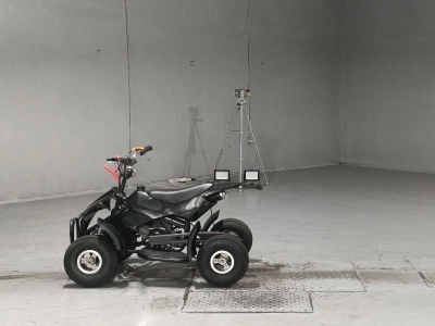 OTHER  BUGGY 50CC