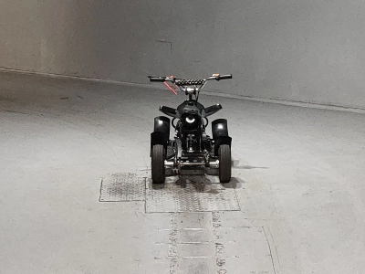OTHER  BUGGY 50CC