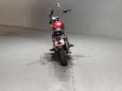 Kawasaki ESTRELLA250