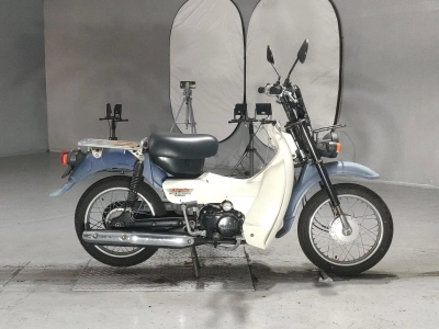 Suzuki BIRDIE50