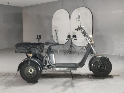 OTHER  BLAZE EV TRIKE 
