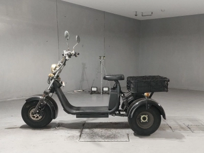 OTHER  BLAZE EV TRIKE 