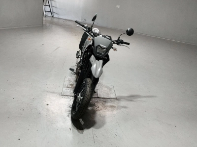 Kawasaki KLX230SM