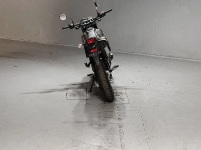 Kawasaki KLX230SM