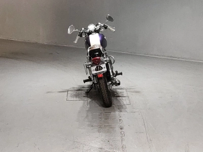 Kawasaki ESTRELLA250