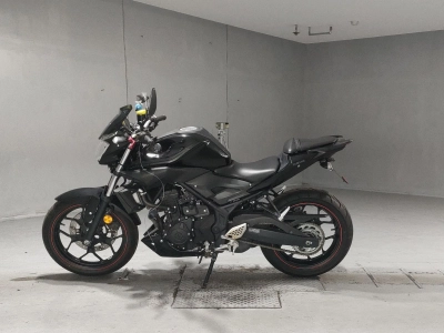 Yamaha MT-25
