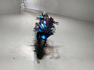 Suzuki GSX250R