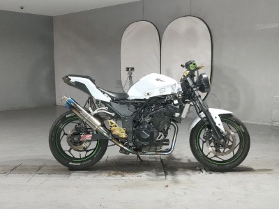Kawasaki NINJA250