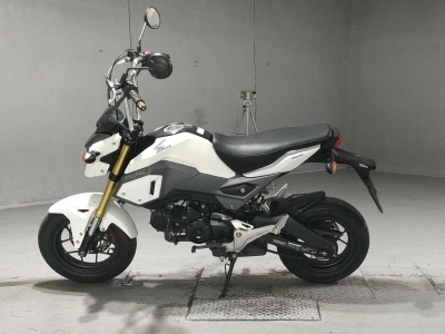 Honda GU ROM