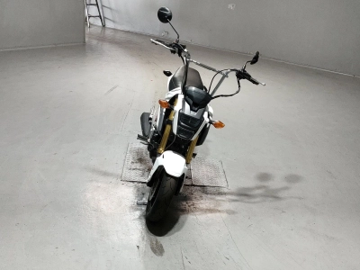 Honda GU ROM