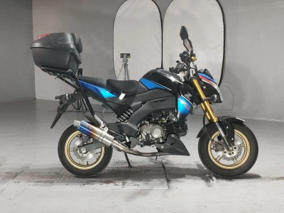 Kawasaki Z125 PRO 