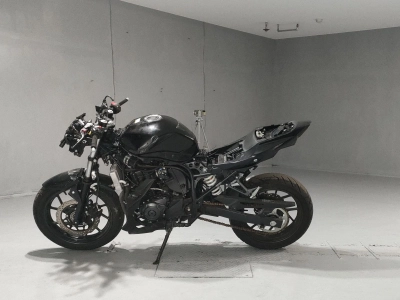 Suzuki GSX250R