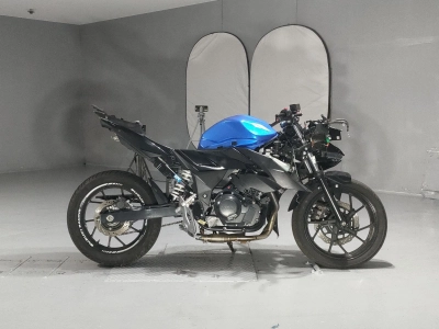 Suzuki GSX250R