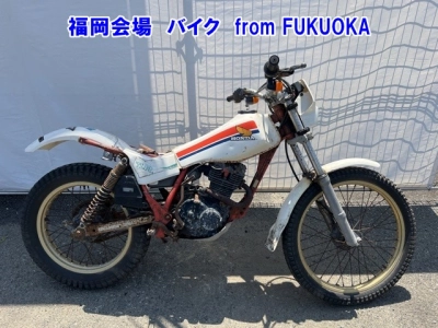 Honda TLR200