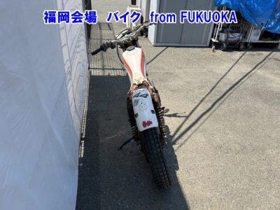 Honda TLR200