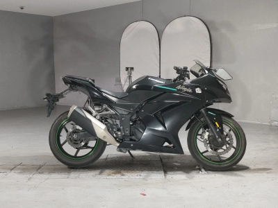Kawasaki NINJA250R