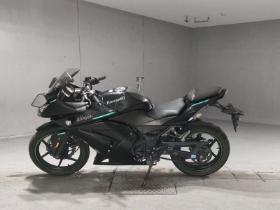 Kawasaki NINJA250R