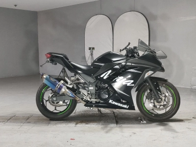 Kawasaki NINJA250