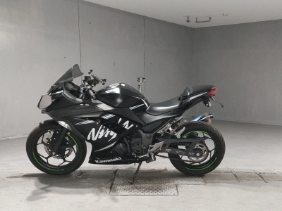 Kawasaki NINJA250