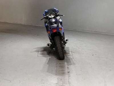 Kawasaki ZZR250