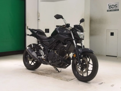 Yamaha MT-25