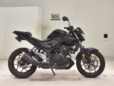 Yamaha MT-25