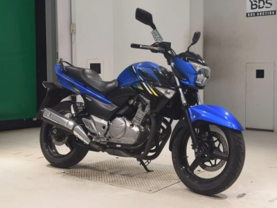 Suzuki GSR250