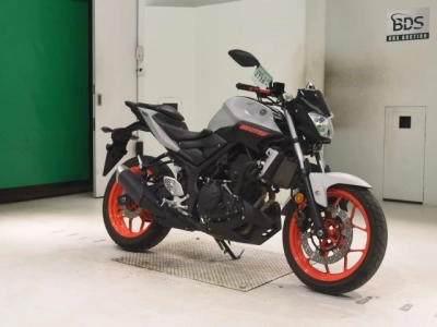 Yamaha MT-25