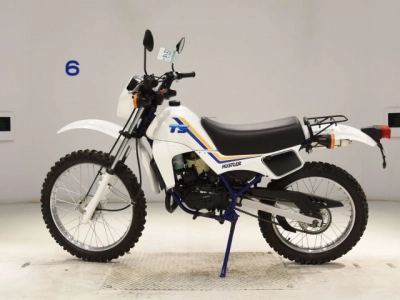 Suzuki TS50