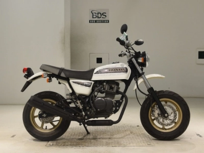 Honda APE100