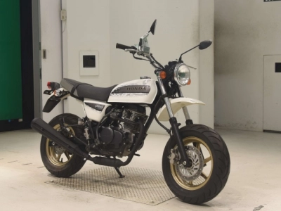 Honda APE100