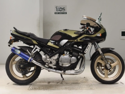 Suzuki BANDIT250-1