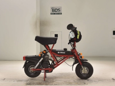 OTHER DI BLASI50