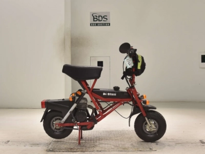 OTHER DI BLASI50