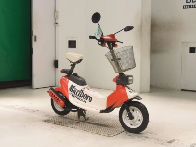Honda ZOOK