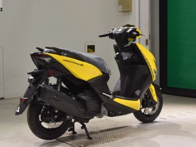 Yamaha  CYGNUS  GRIF ASU