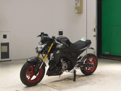 Kawasaki Z125PRO