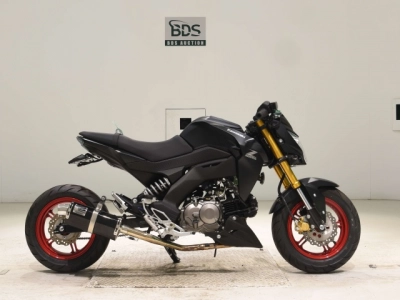 Kawasaki Z125PRO