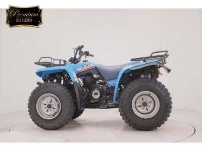 Yamaha YFM350