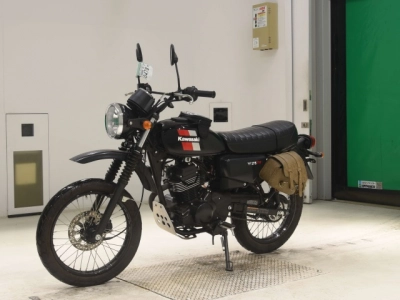 Kawasaki W175TR