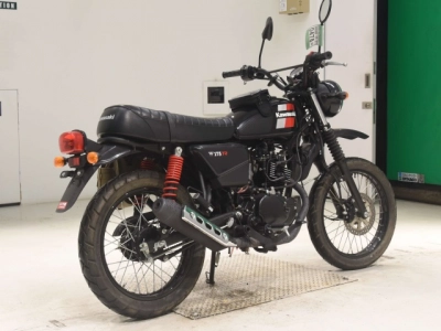 Kawasaki W175TR