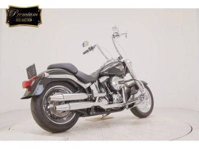 Harley-Davidson  HARLEY FLSTF1690