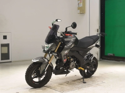 Kawasaki Z125PRO