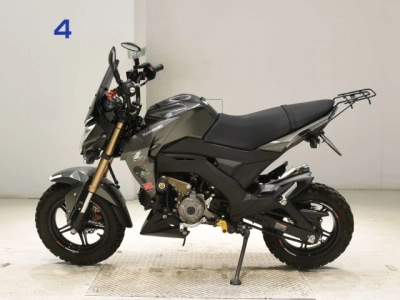 Kawasaki Z125PRO