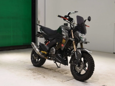 Kawasaki Z125PRO