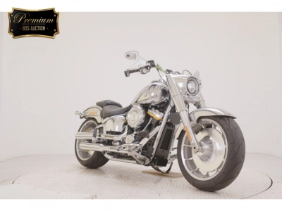 Harley-Davidson  HARLEY FLSTFI1920