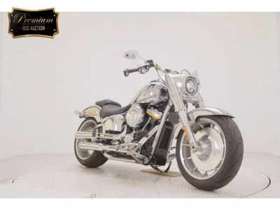 Harley-Davidson  HARLEY FLSTFI1920