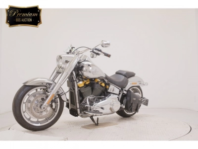 Harley-Davidson  HARLEY FLSTFI1920