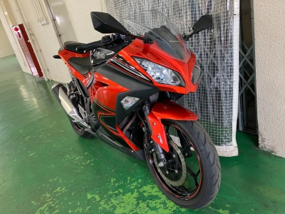 Kawasaki Ninja 250 SE