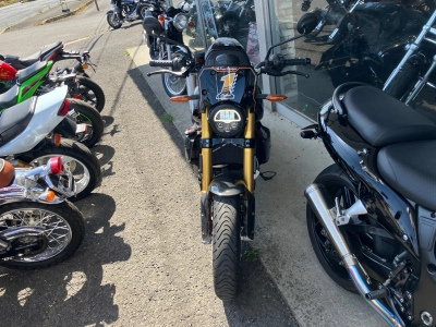 OTHER  INDIAN FTR CARBON